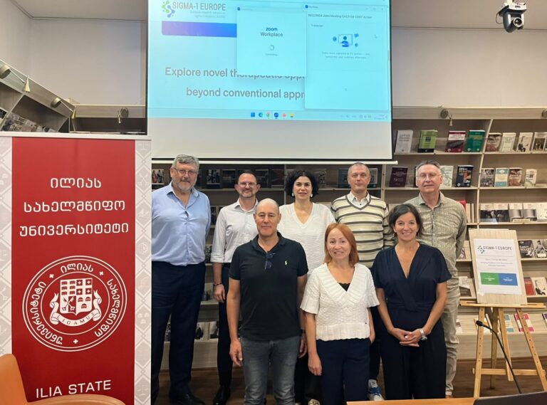 WG2 and WG4 Meet in Tbilisi