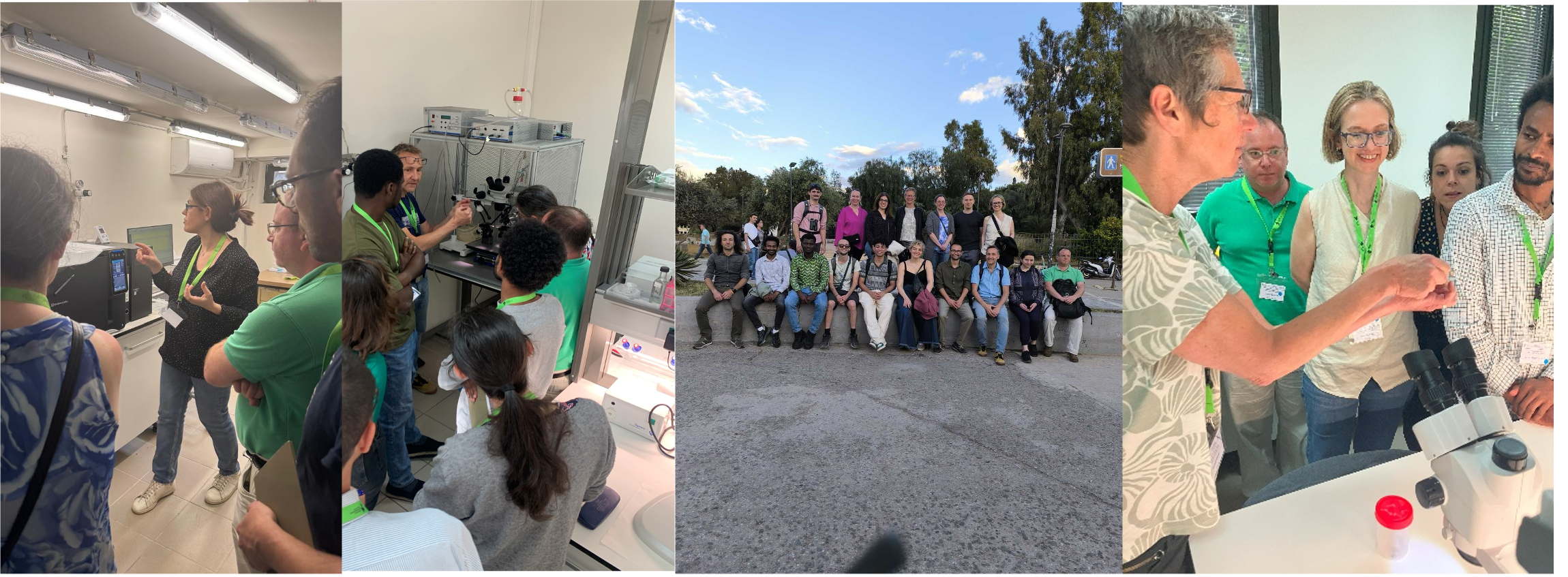 Training course in Chemical Ecology in Athens, May 2026