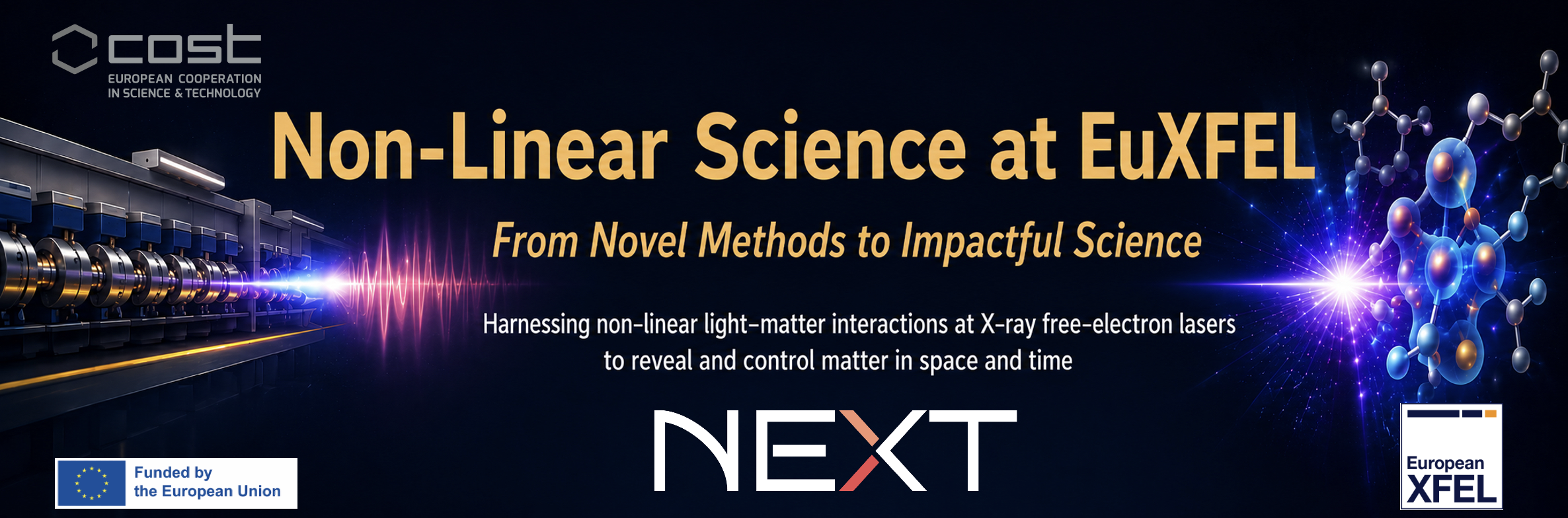 Workshop: “Non-Linear Science at EuXFEL”