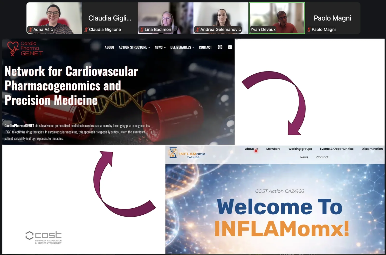 Joint CardioPharmaGENET and INFLAMomx webinar brings together precision medicine communities