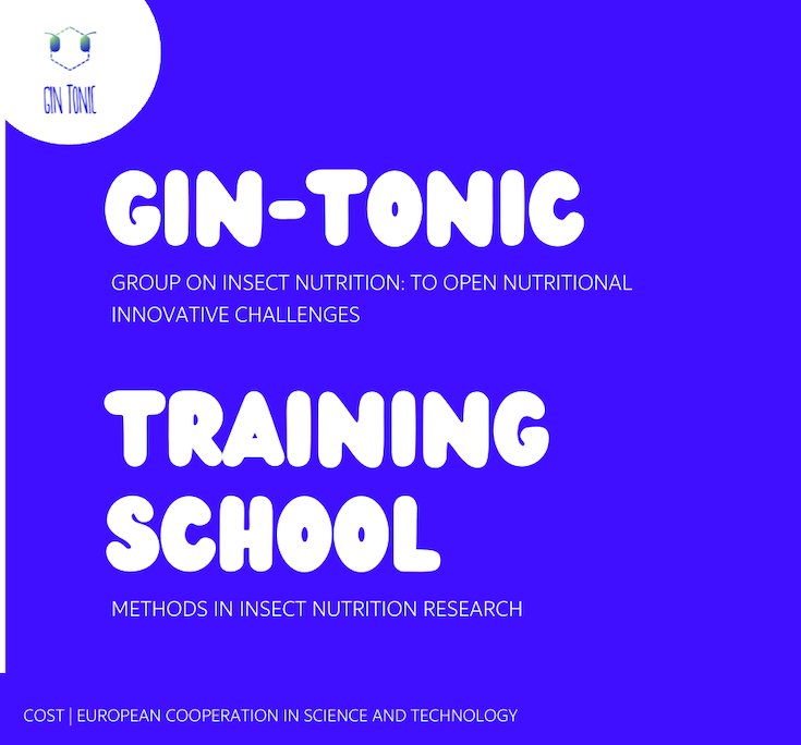 ✨ Our very first GIN-TONIC Training School is a wrap!