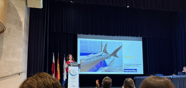 Exploring Challenges and Opportunities in Portuguese Artisanal Tuna Fisheries