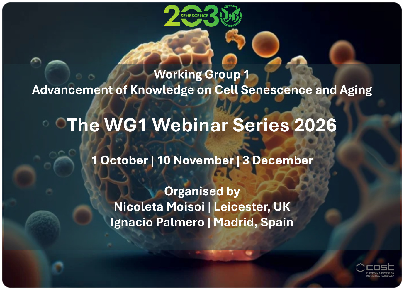 WG1 Webinars