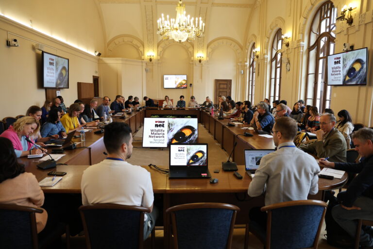 Funding for WIMANET Dissemination Conference Grants