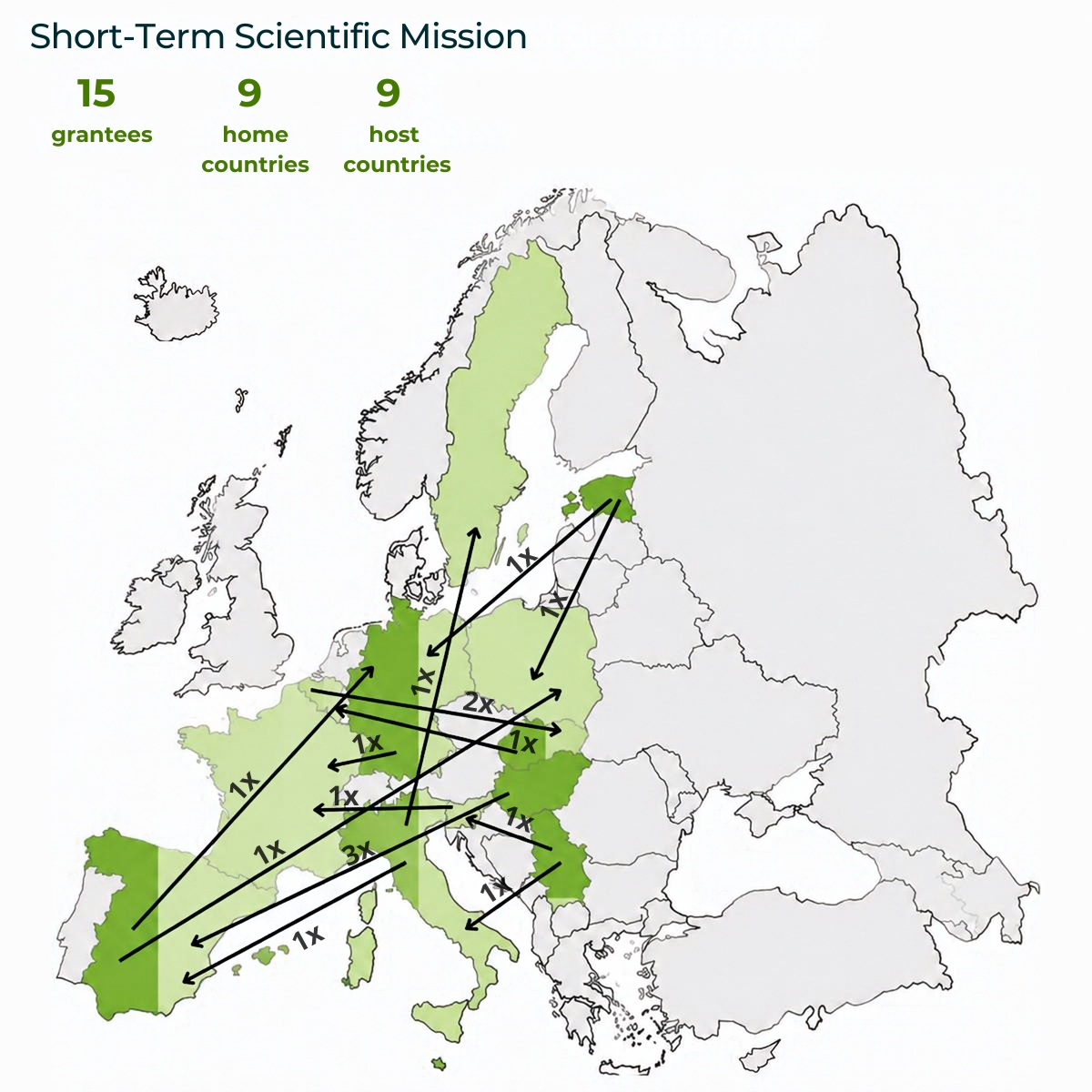 Short-Term Scientific Missions (STSMs) – Year 2 Highlights