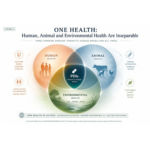 One Health diagram showing the interconnection of human, animal and environmental health in relation to parasitic-disease drugs